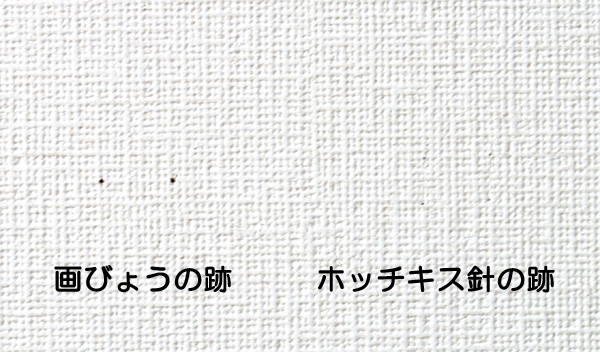 �z�b�`�L�X���߂̓���:���̐Ղ��قƂ�ǎc��܂���B