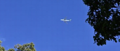 �q��@���E���̖�