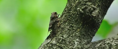 �Z�~�̖����E����@��