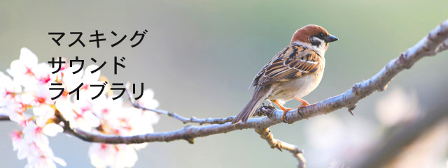 マスキングサウンドライブラリは、防音材や吸音材による対処が難しい「天井(上階)からの騒音」「方向性のない固体伝播音」「低周波(重低音)騒音」に対して有効なソフトマスキング用の音源を提供します。