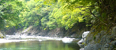 ��ӁE���̉��E�J�G��